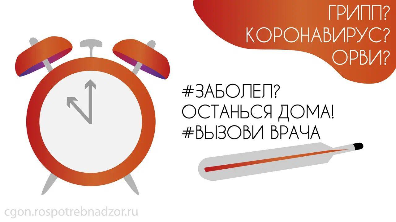 Санитарный щит страны – безопасность для здоровья
