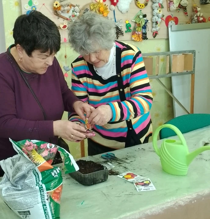 Рассада цветов
